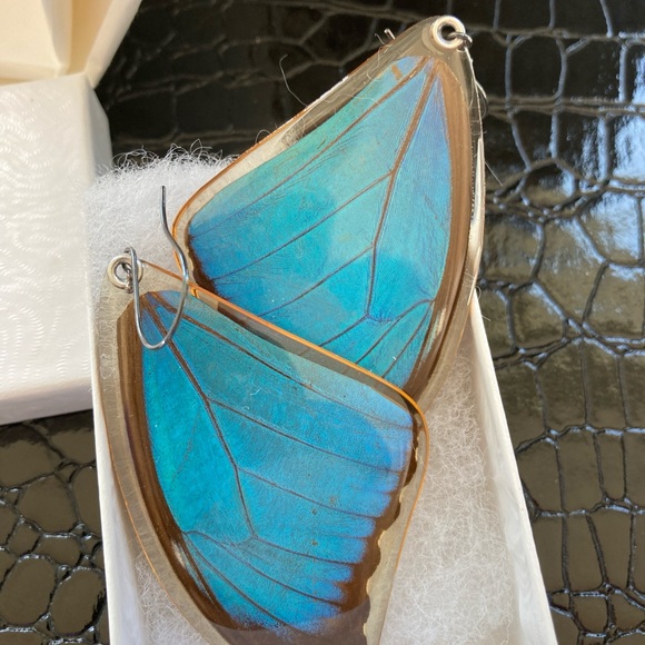 Mary Adams Accessories - Real Butterfly Earrings by Mary Adams